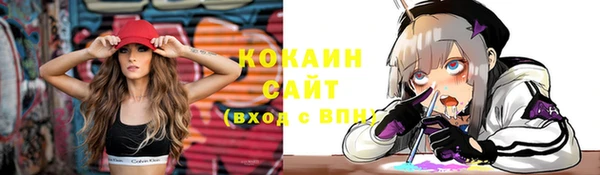 соль ск Пестово