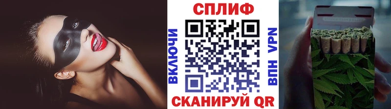Бошки марихуана сатива  купить закладку  Чёрмоз 